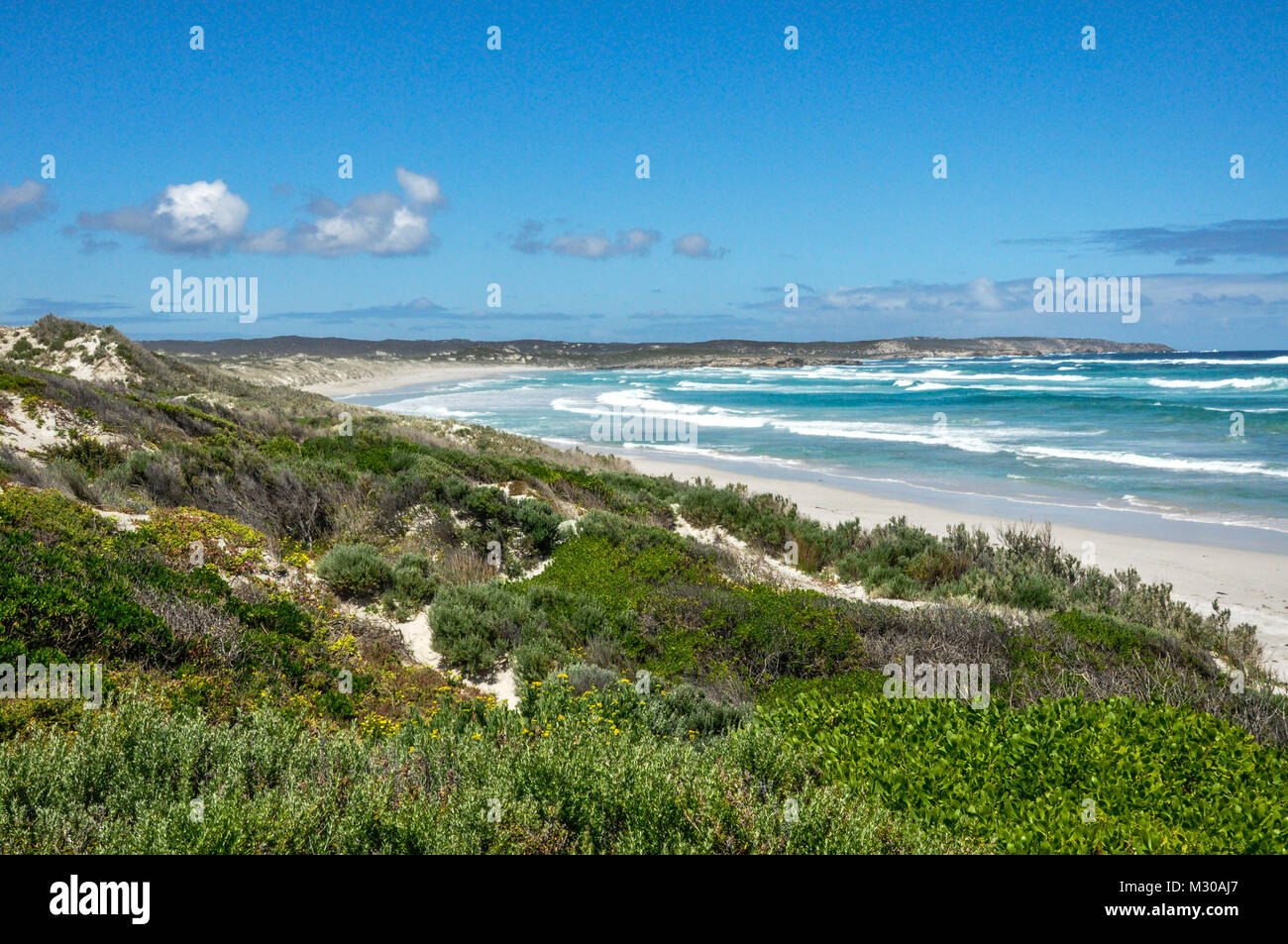 Coastal landscape on Kangaroo Island near Cape Gantheaume, South Australia, Australia Stock Photo