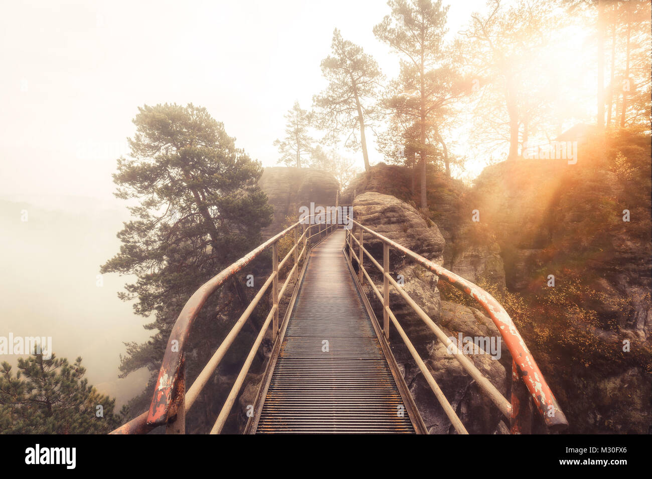 A metal bridge through the Elbe Sandstone Mountains near Rathen on a misty morning Stock Photo