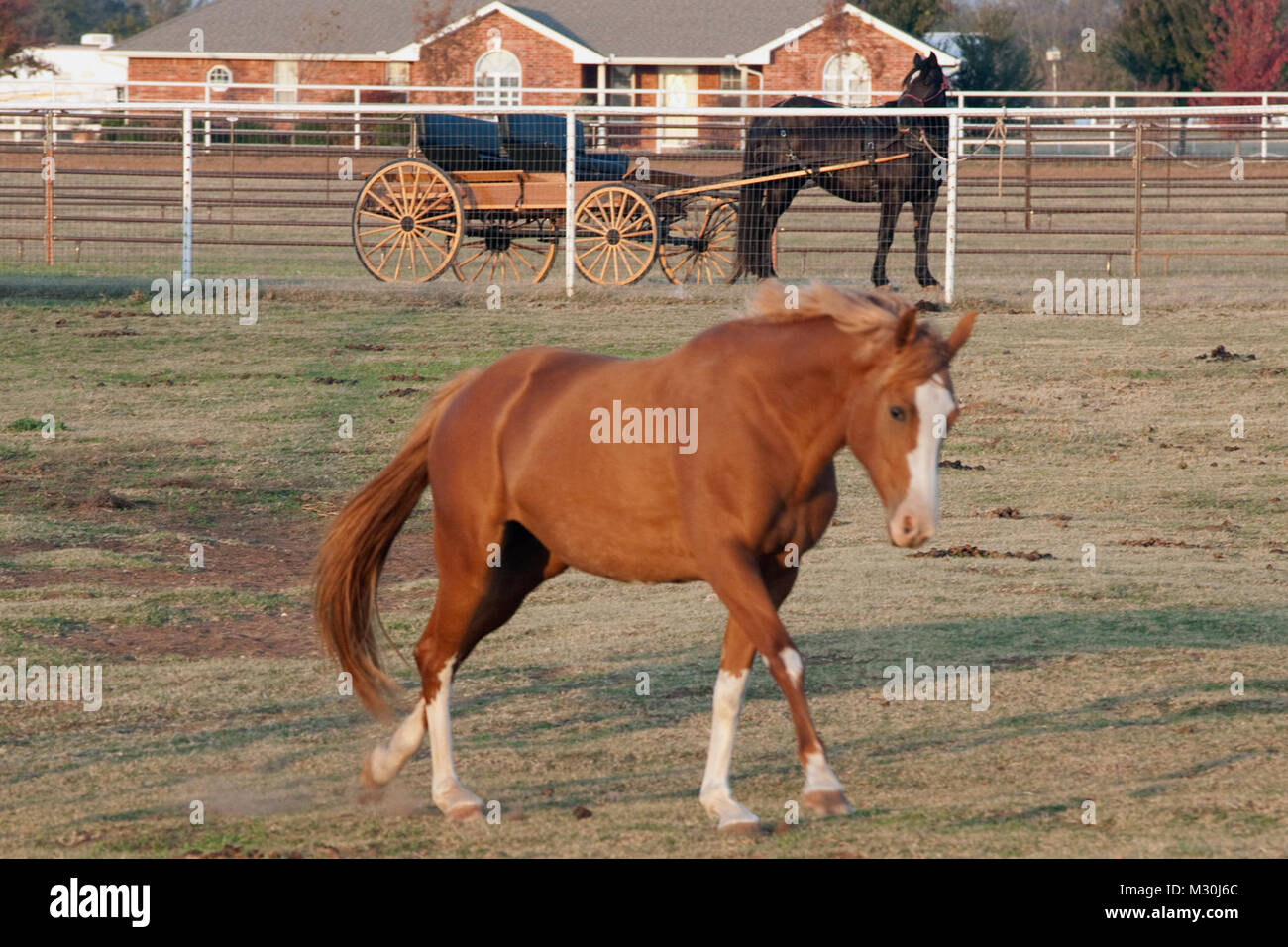 Children of Soldiers and Airmen of the Oklahoma National Guard, many of