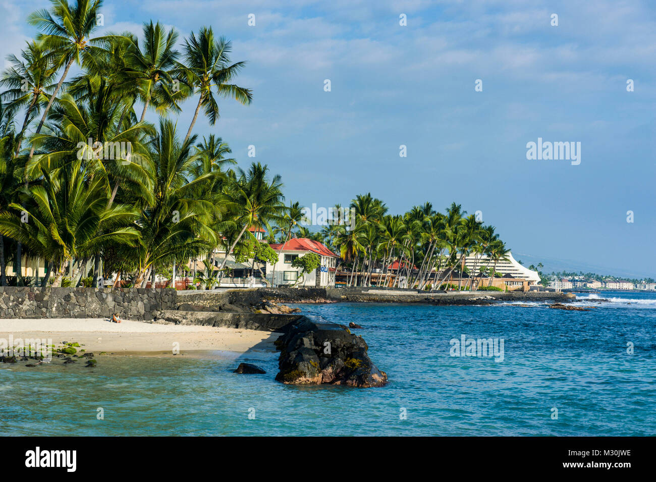 Kona hawaii palm trees hi-res stock photography and images - Alamy