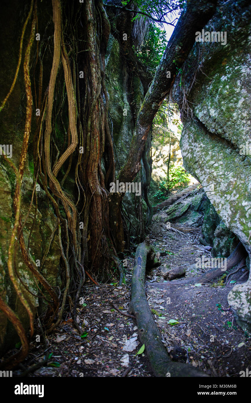 Pohara hi-res stock photography and images - Alamy