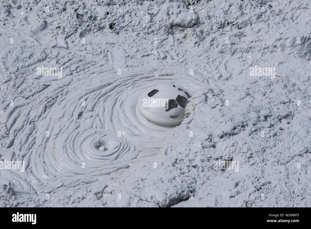 Mud bubbles in a mud field in the Te Puia Maori Cultural Center