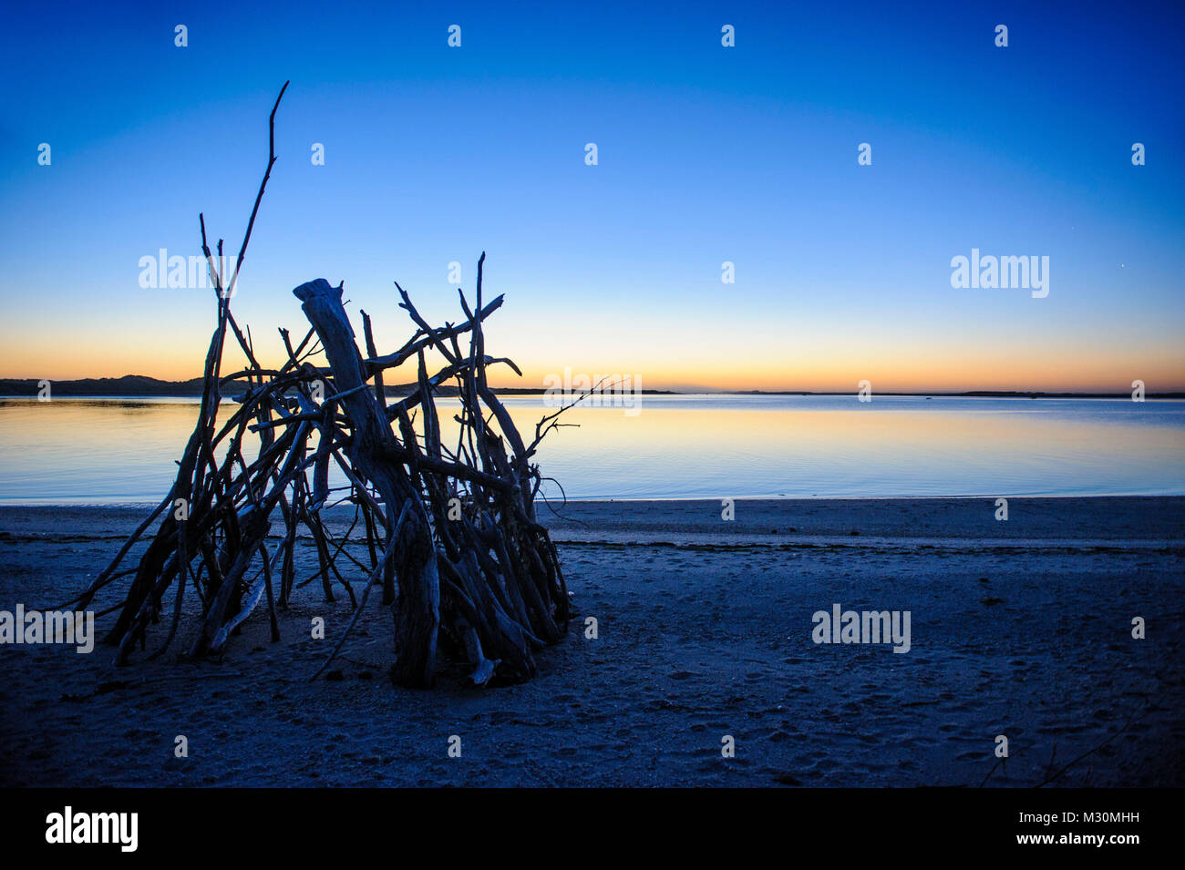 Driftwood set up for a bonfire after sunset, the Catlins, South Island, New Zealand Stock Photo