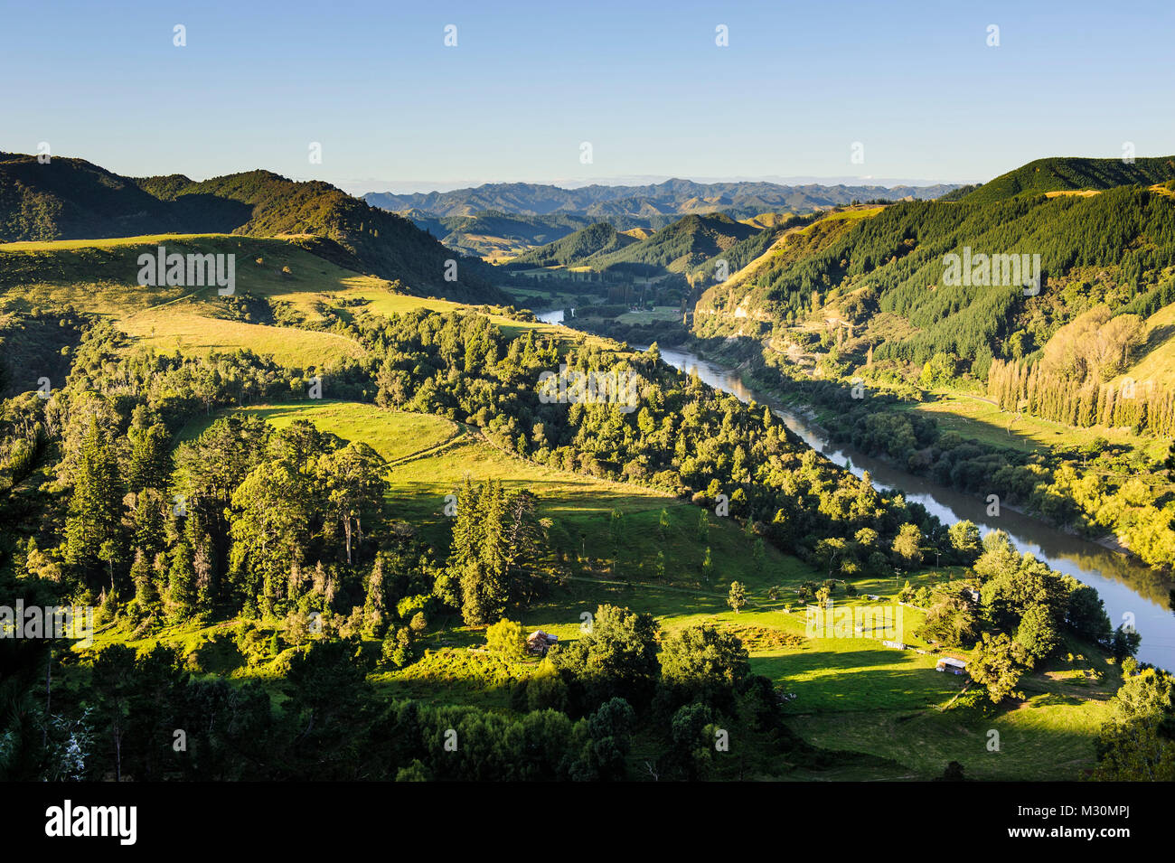 Overlook over the Whanganui river in the lsuh gree countryside