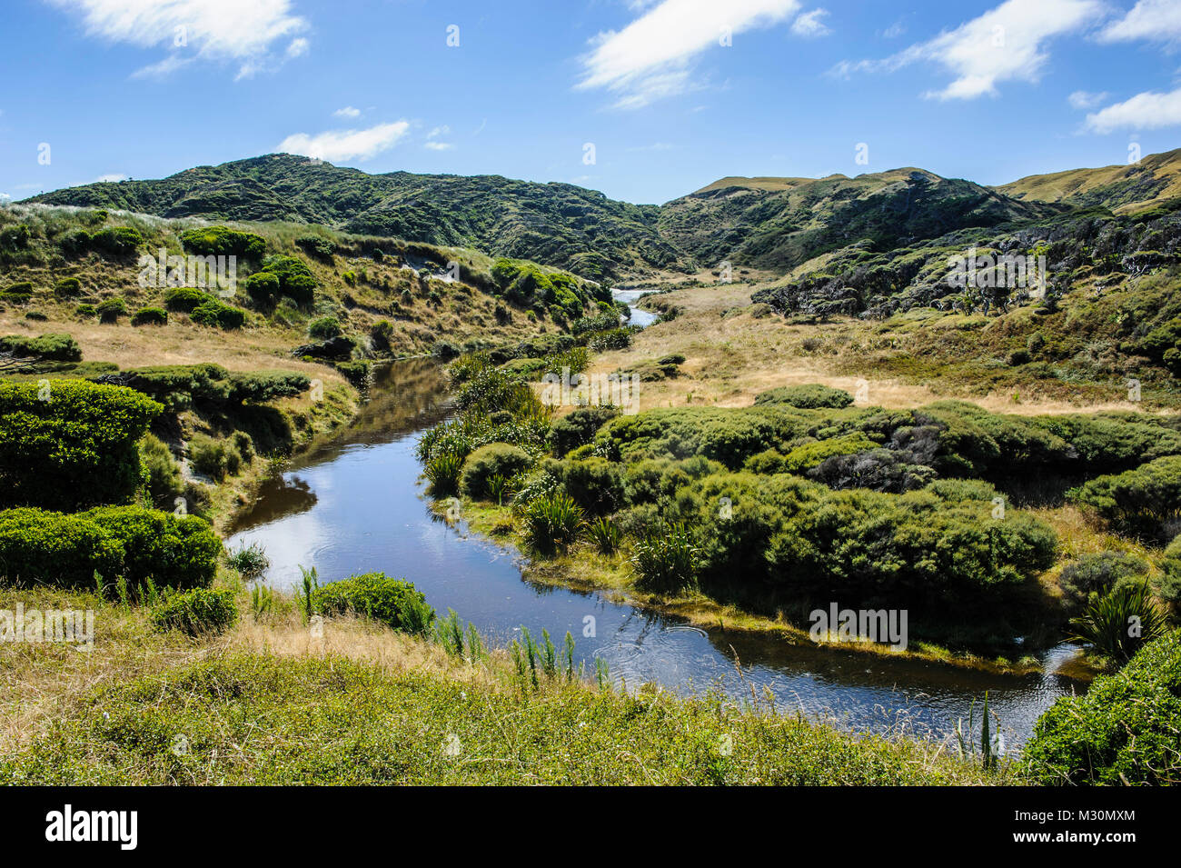 River Flowing Into The Ocean High Resolution Stock Photography and