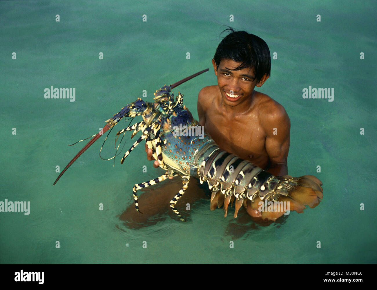 Boy with big spiny lobster, Cebu Island, Visayas,  Philippines, Asia Stock Photo
