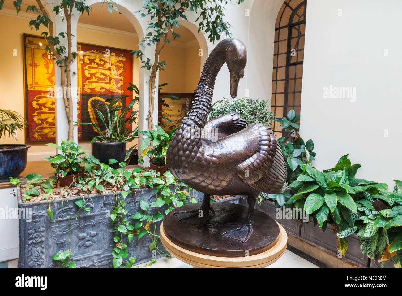 England, London, The City, The Vinters' Company, The Vinters' Hall, The Conservatory, Bronze Swan by Sally Arnup Stock Photo