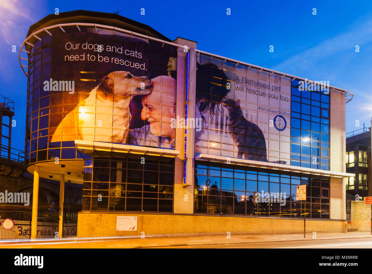 England, London, Battersea, Battersea Dogs and Cats Home Stock Photo
