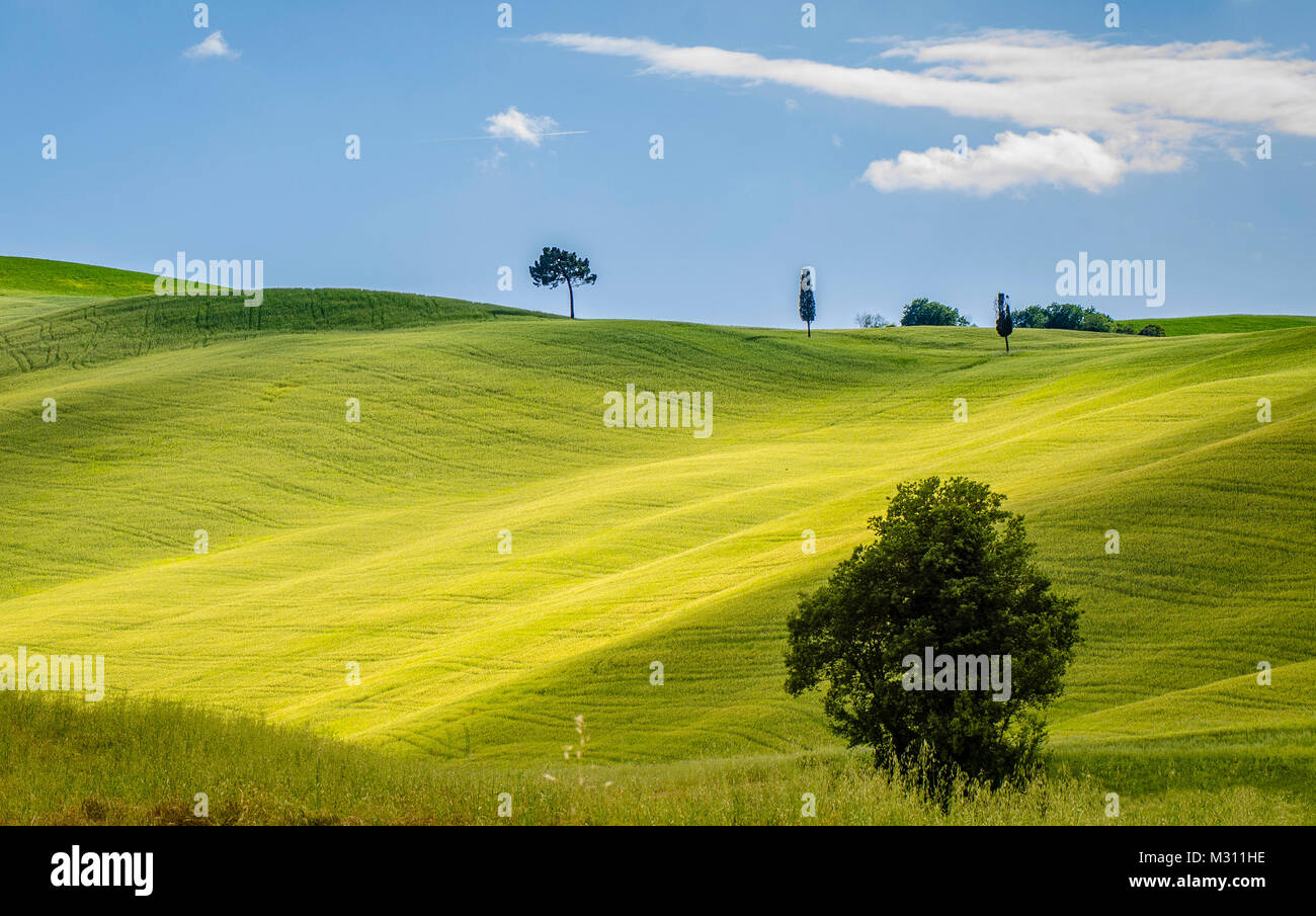 Tuscany, along with the other central provinces of Italy, perhaps captures the beauty of Italy in its entirety. Stock Photo