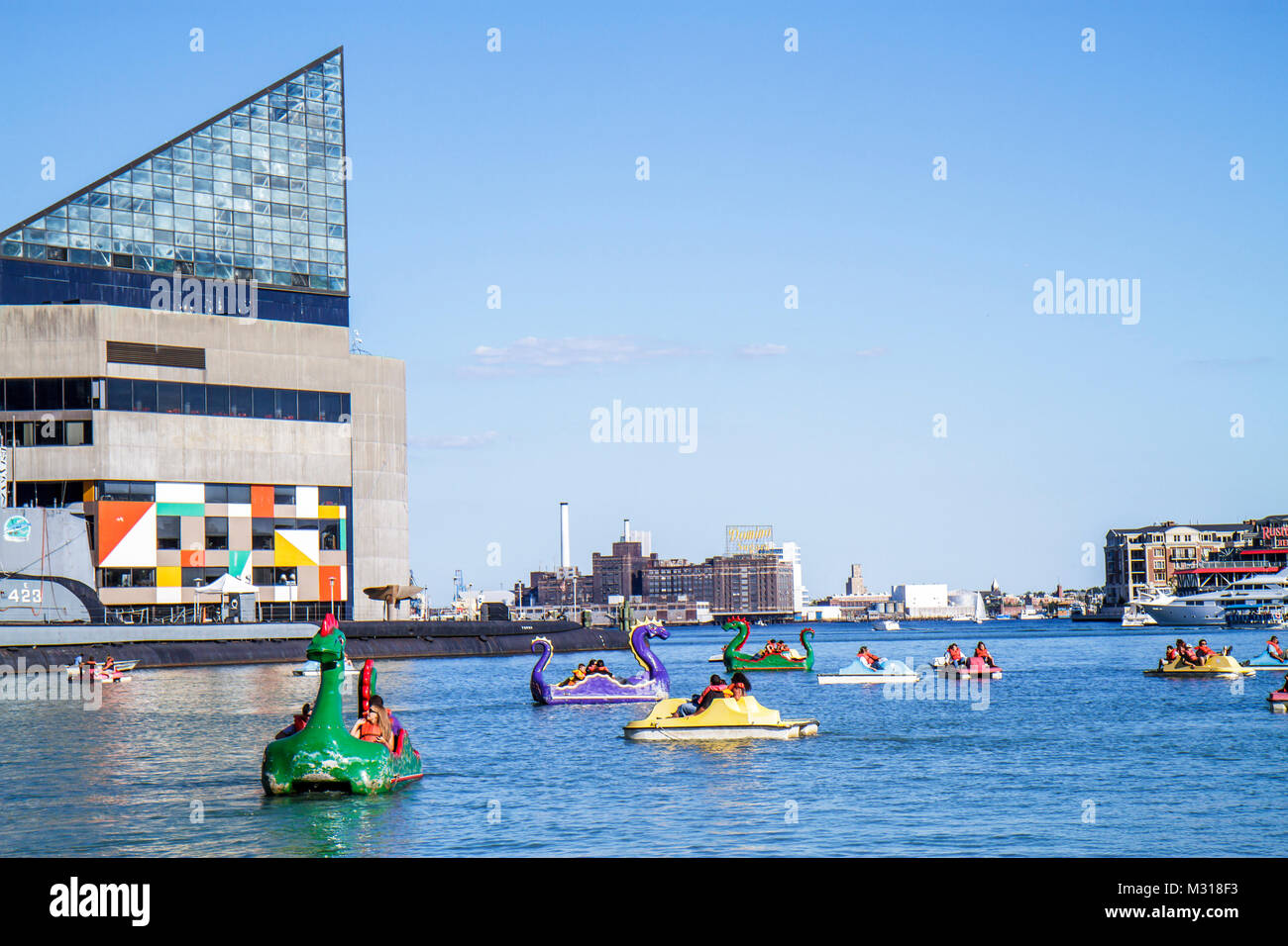 Baltimore Maryland,Inner Harbor,harbour,Patapsco River,port,waterfront,Harborplace,National Aquarium,paddle boat ride,dragon boat,skyline,MD100701021 Stock Photo