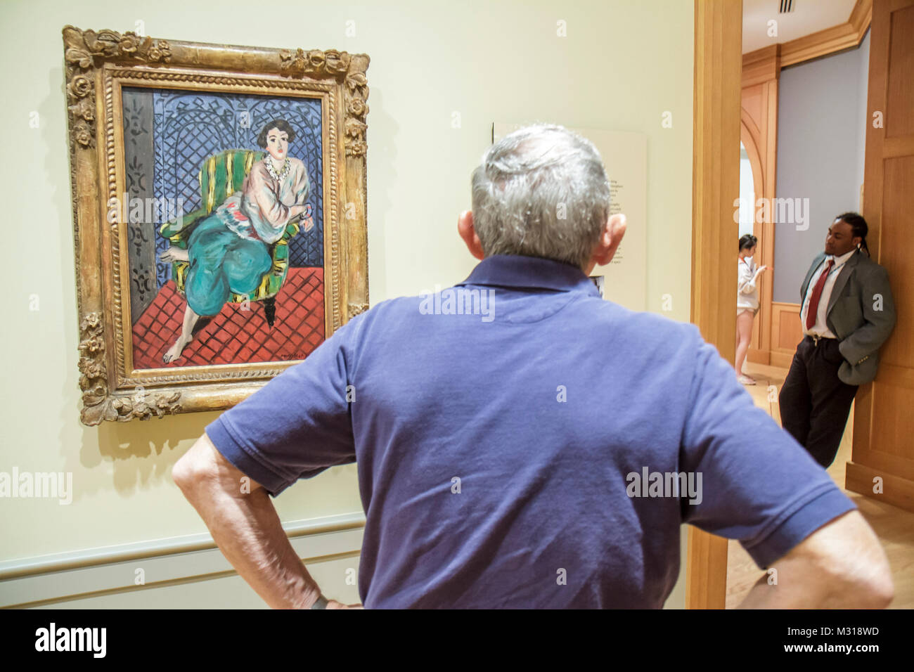 Baltimore Maryland,Baltimore Museum of Art,Wyman Park,gallery galleries