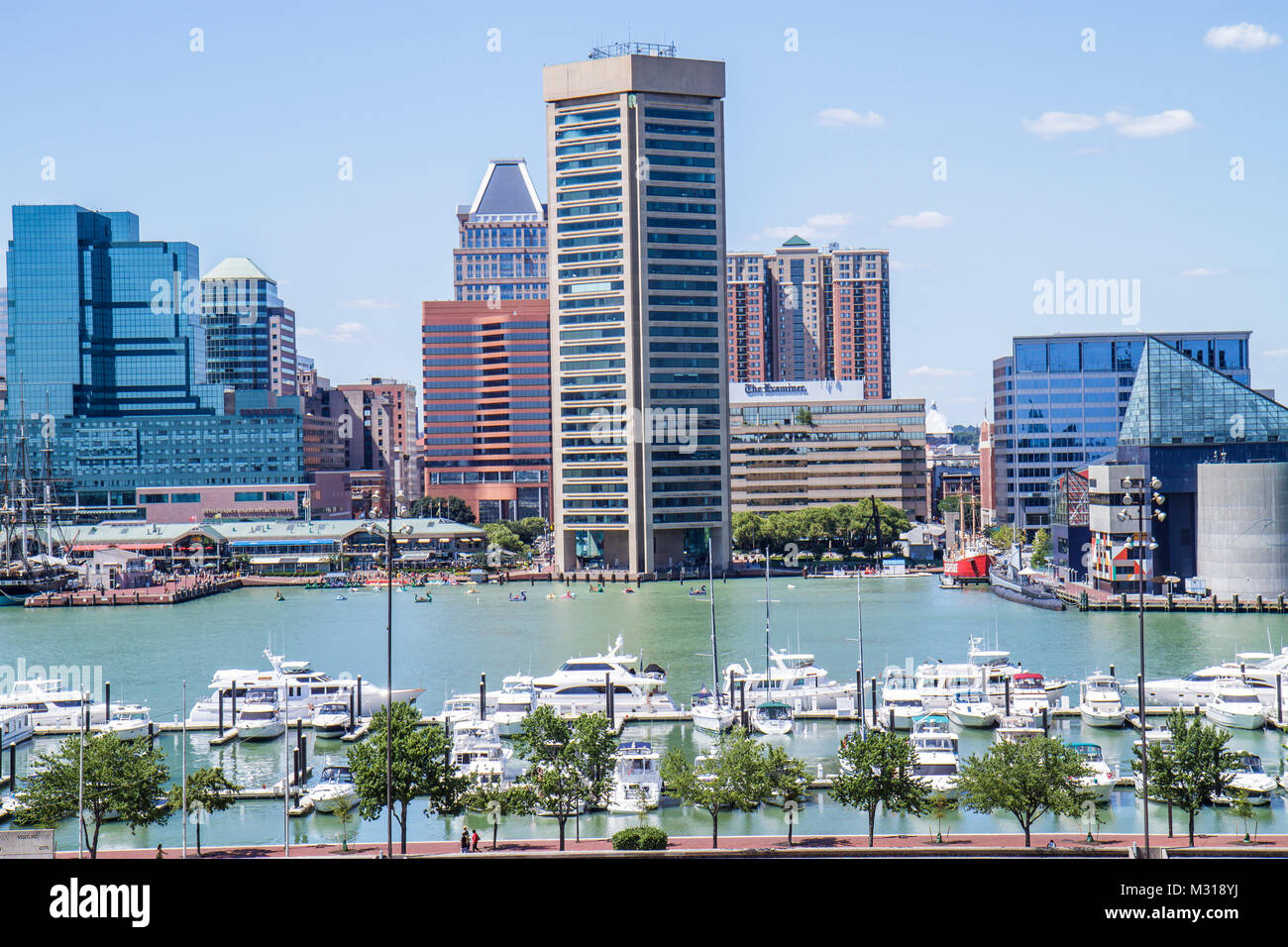 Baltimore Maryland,Federal Hill Park,Inner Harbor,harbour,Patapsco River,port,waterfront,skyline,World Trade Center,office building,marina,boat,yacht, Stock Photo