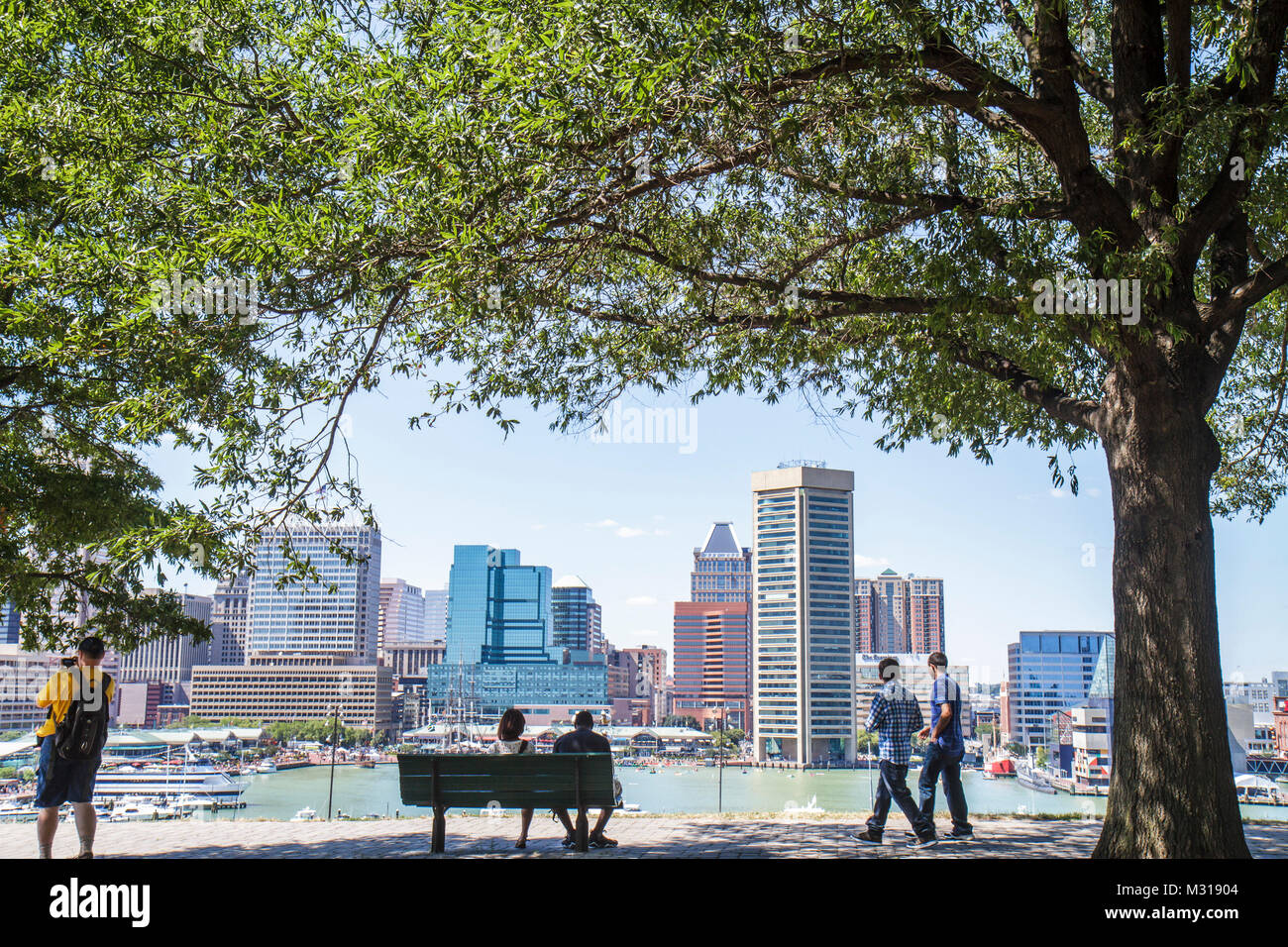 Baltimore Maryland,Federal Hill Park,Inner Harbor,harbour,Patapsco River,port,waterfront,skyline,tree,park bench,view,shade,stroll,relax,man men male, Stock Photo