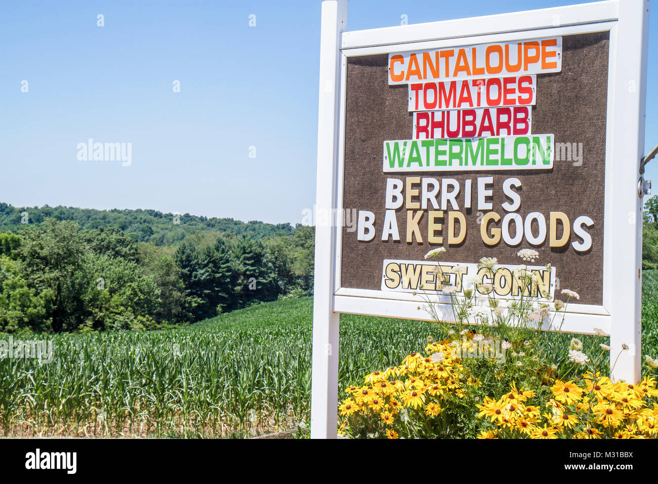 Pennsylvania,PA,Northeastern,Willow Street,countryside,farm,corn,sign,roadside farm stand,sign,fruit,vegetable,cantaloupe,tomatoes,tomatoes,rhubarb,be Stock Photo