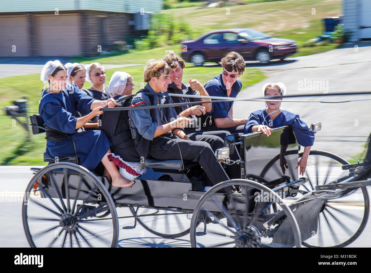 Strasburg Pennsylvania,Amish horse-drawn buggy wagon,girls female boys male teens teenagers rumspringa,speeding risky rebellious behavior courting Stock Photo