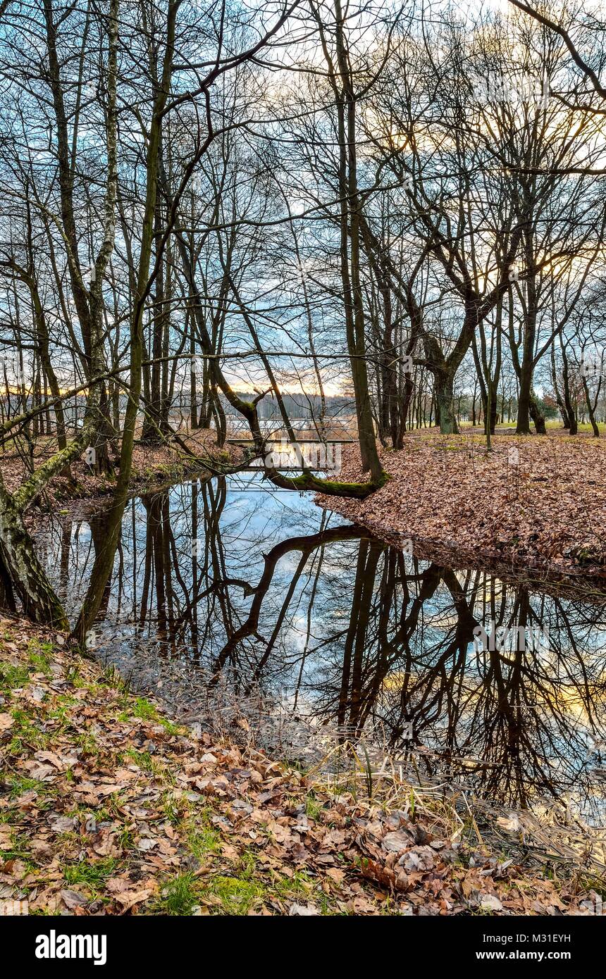 beautiful-morning-landscape-river-and-a-lake-in-the-forest-stock-photo