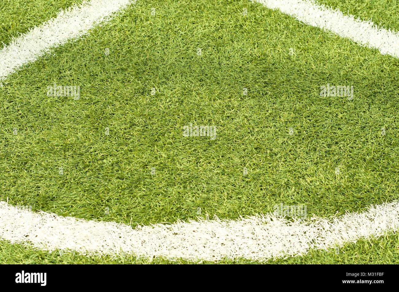 football field with white stripes Stock Photo Alamy