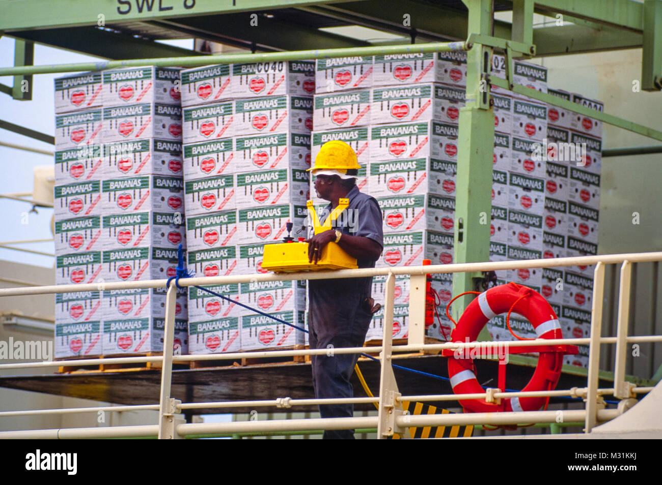 Ship cargo hold loading of fruit, bananas for export import. Stock Photo