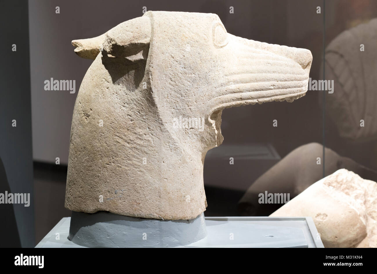 Jaen, Spain - December 29th, 2017: Wolf's head of Heroic Shrine of El Pajarillo, Huelma, Jaén at Iberian Museum of Jaén Stock Photo