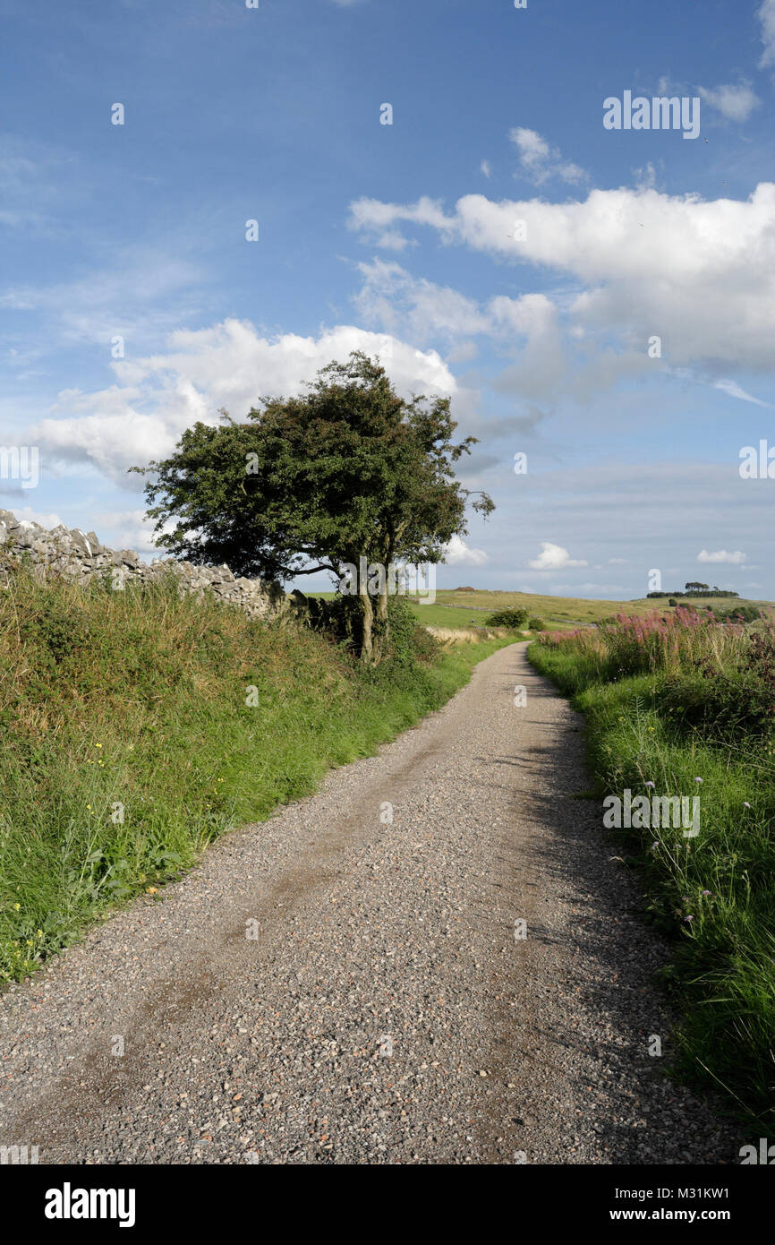 High Peak Trail footpath in Derbyshire England UK a disused railway line Peak district national park, English countryside Stock Photo