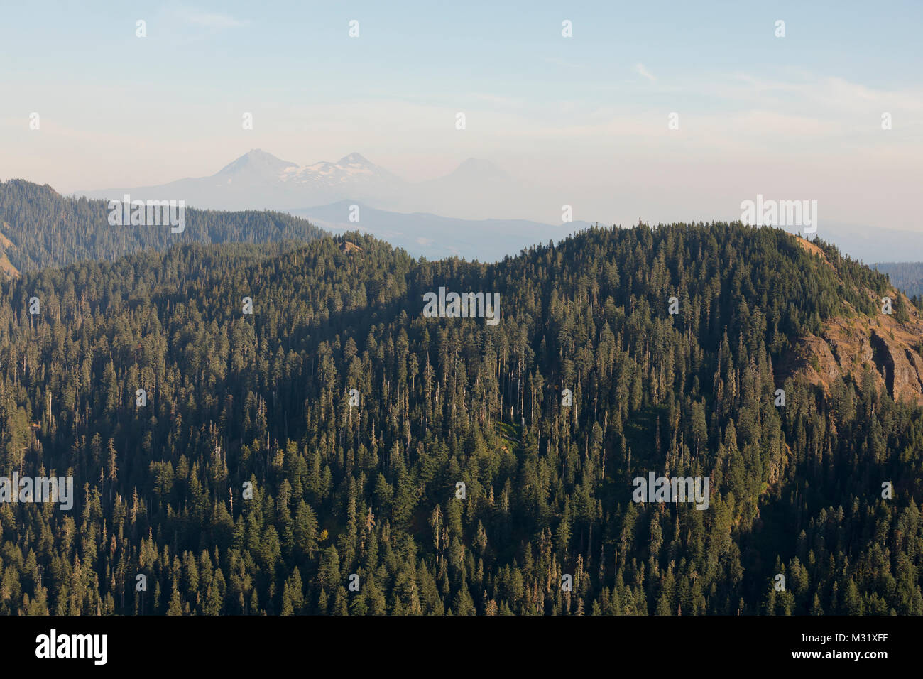 Iron Mountain Hike in Oregon Stock Photo Alamy