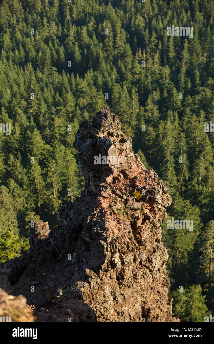 Iron Mountain Hike in Oregon Stock Photo Alamy
