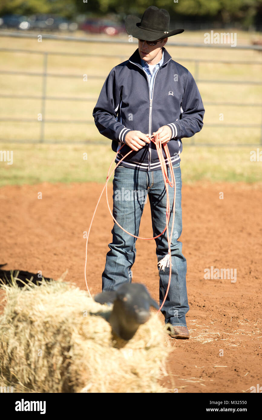 Calf Roper Rigging Calf roping hands hi-res stock photography and images - Alamy