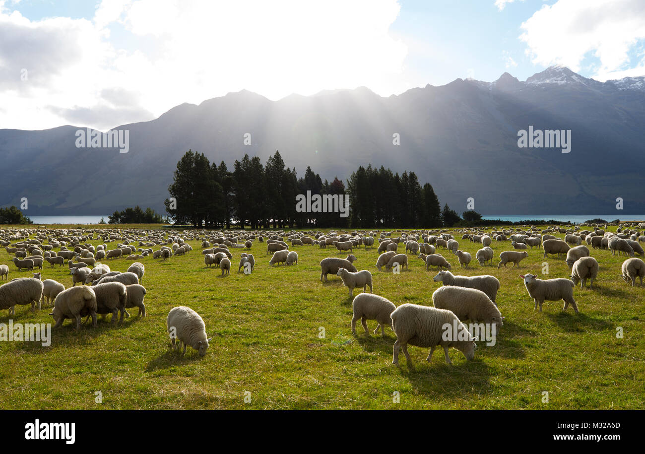South island scenery of New Zealand Stock Photo
