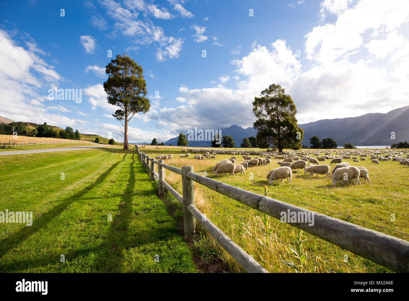 South island scenery of New Zealand Stock Photo - Alamy