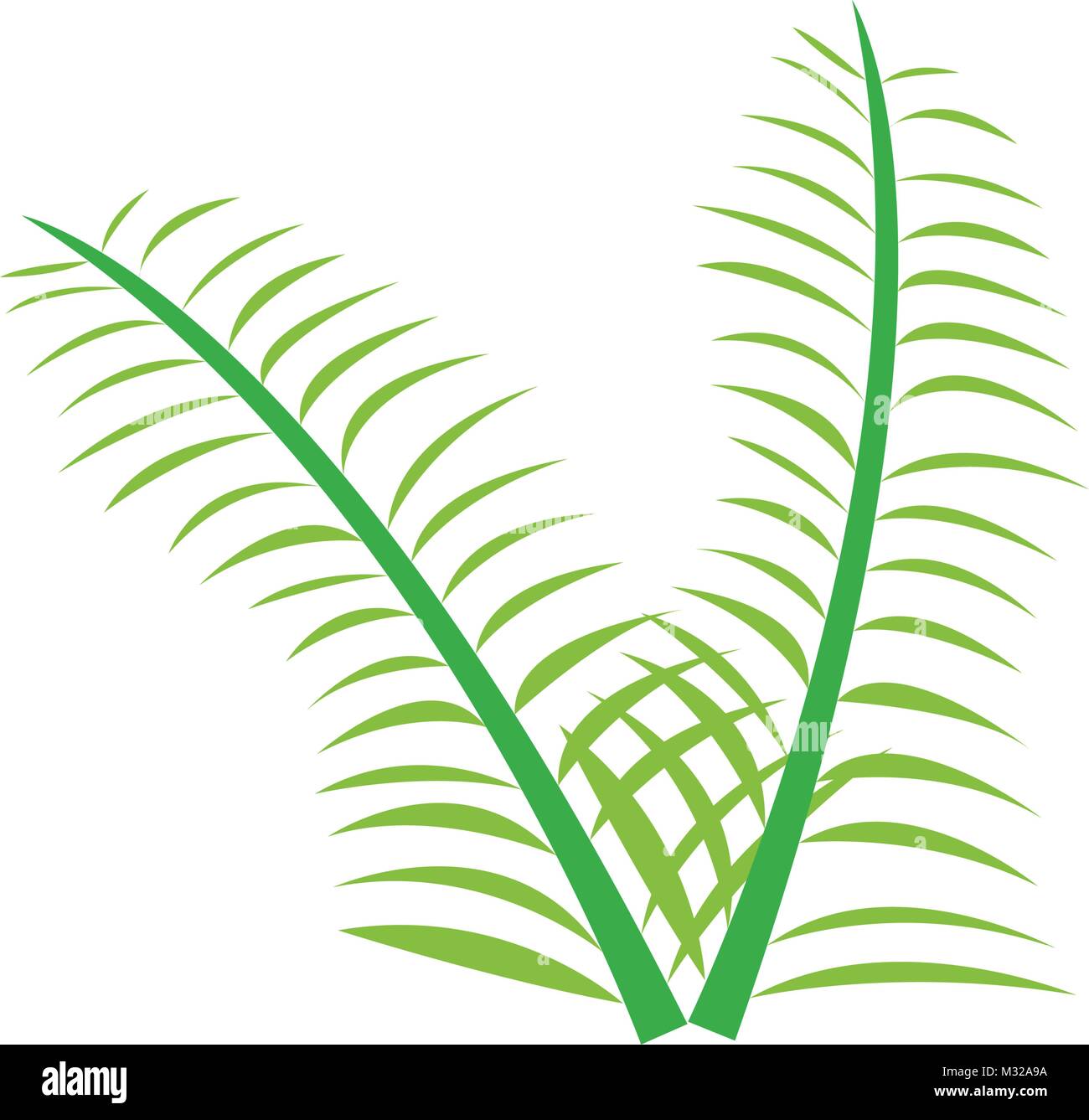 Vector wreath olive tree Cut Out Stock Images & Pictures - Alamy