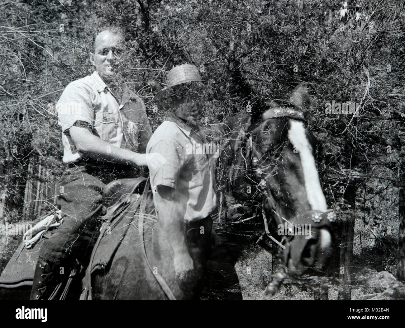 Accidental double exposure of a man and a horse, ca. 1950. Stock Photo