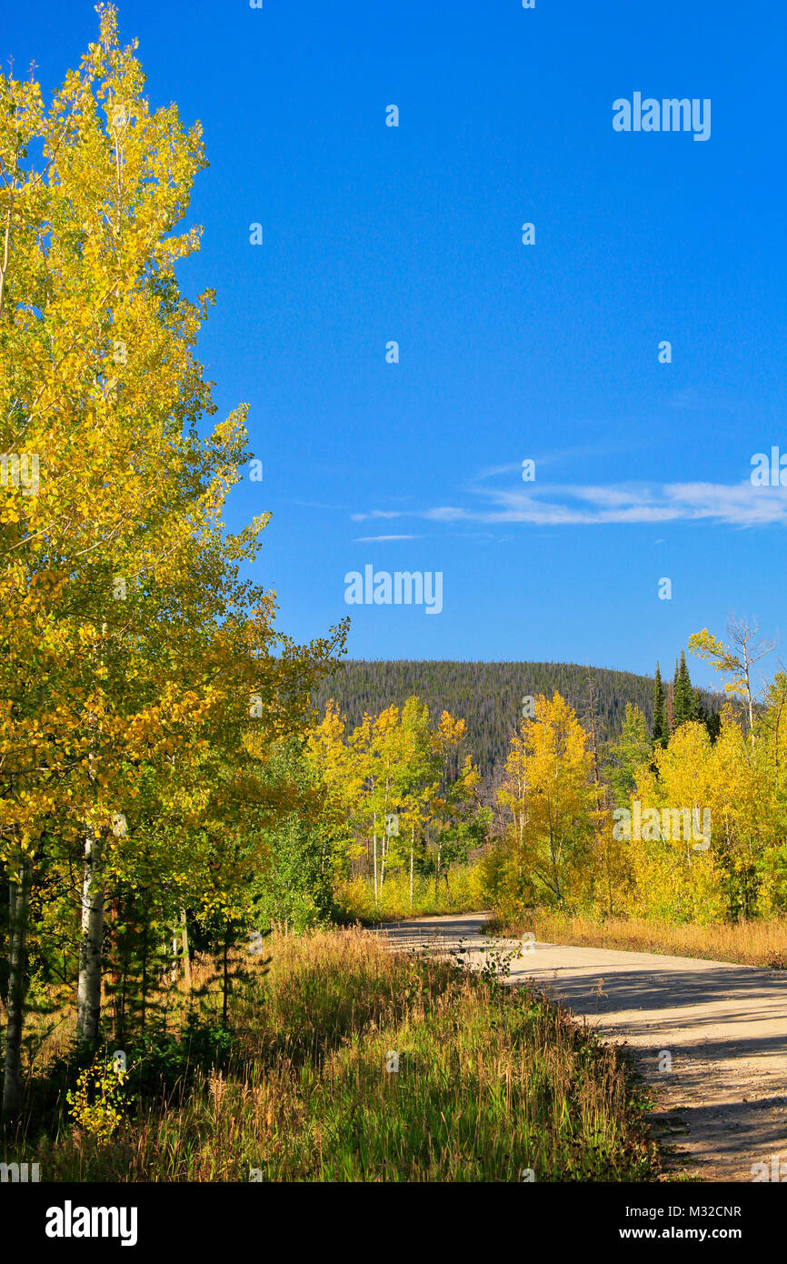 South French Creek Road, Snowy Range Scenic Byway, Centennial, Wyoming
