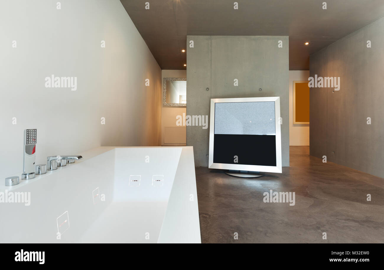 Modern design, interior house, bathroom with television Stock Photo Alamy