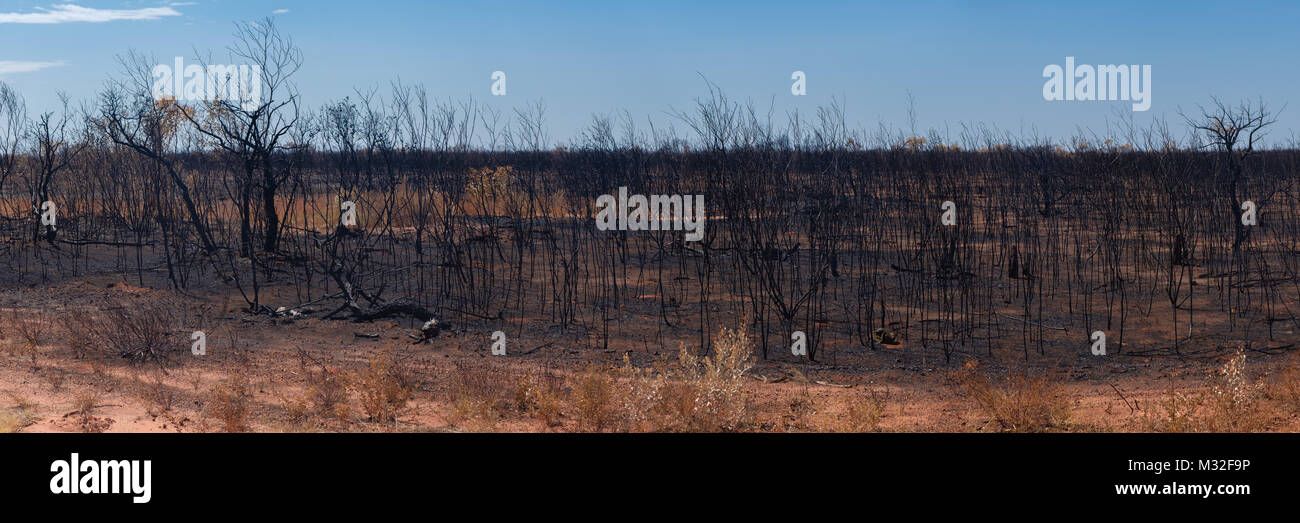 Burnt Bush, Barkly HIghway, Northern Territory Australia Stock Photo