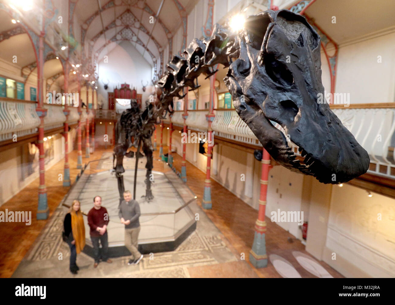 The Natural History Museum's Diplodocus skeleton cast, known as Dippy ...