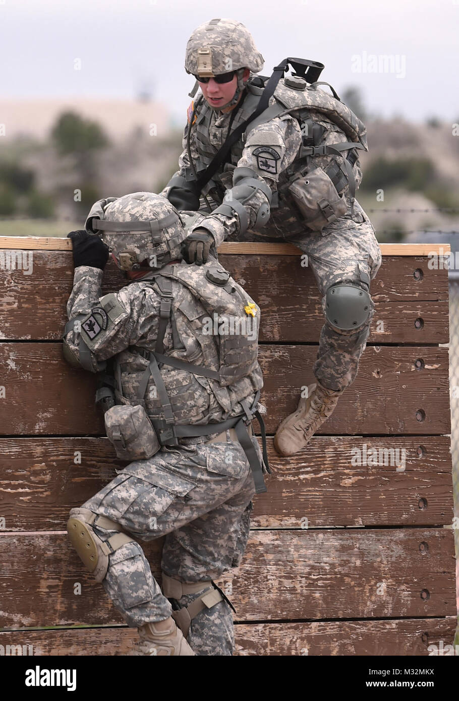Battle buddy hires stock photography and images Alamy