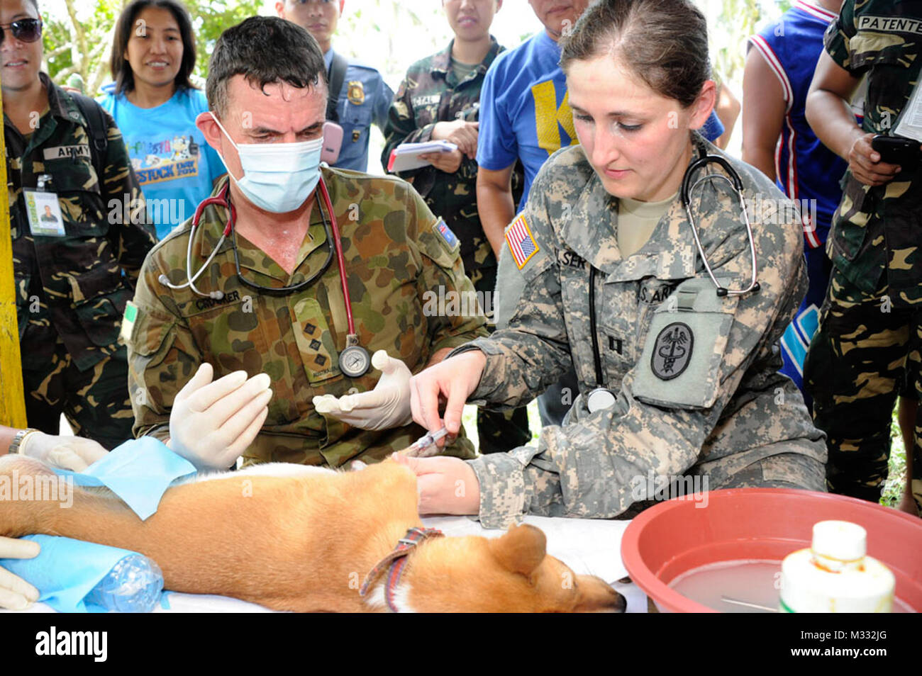 Australian Army Veterinarian, Captain Kendall Crocker, Observes United  States Army Veterinary Corps Officer, Captain Emily Elser, Giving A Dog An  Injection Prior To Surgery During A Veterinary Civil Assistance Program  Near Legazpi,