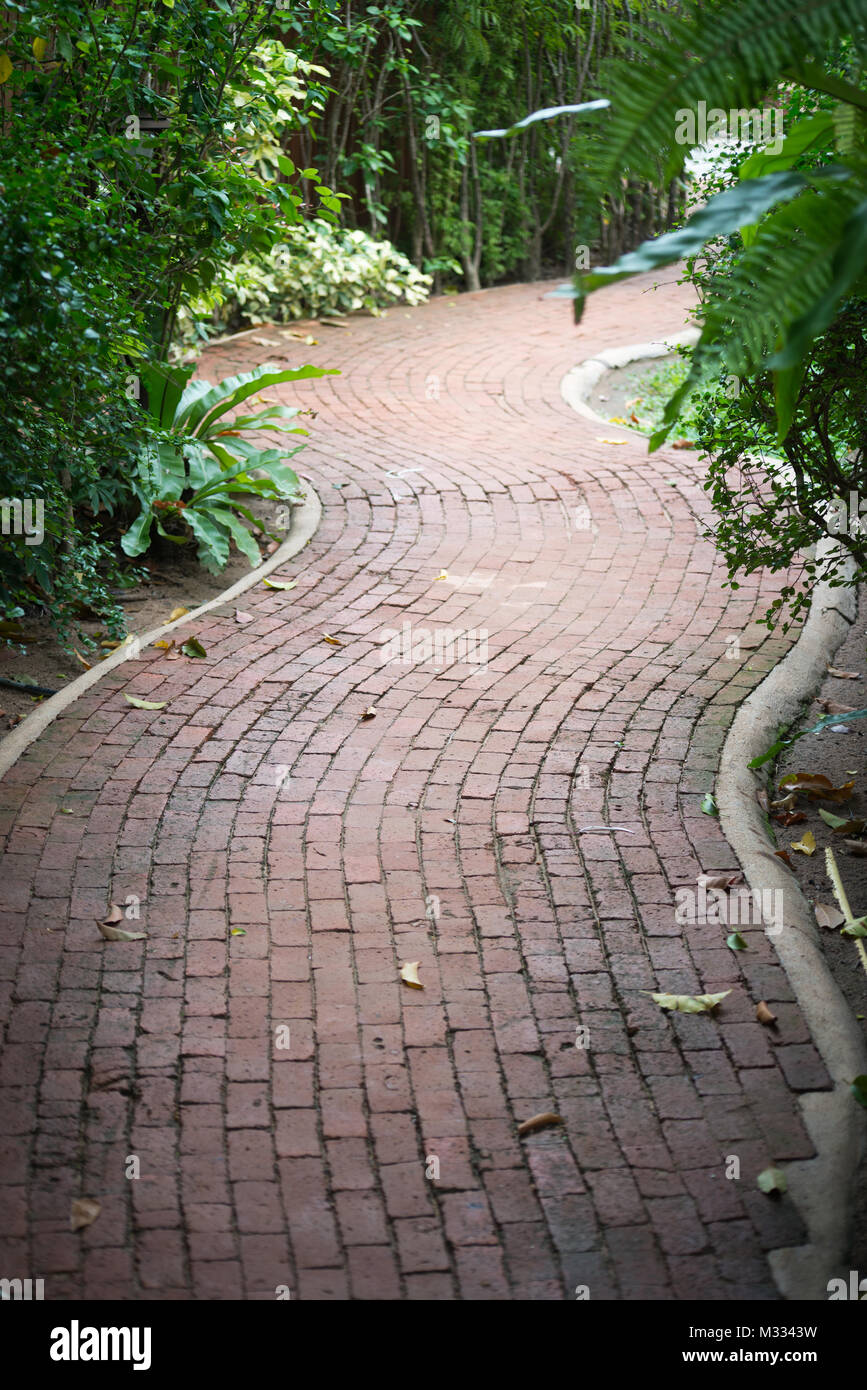 Curve pathway in a garden Stock Photo Alamy