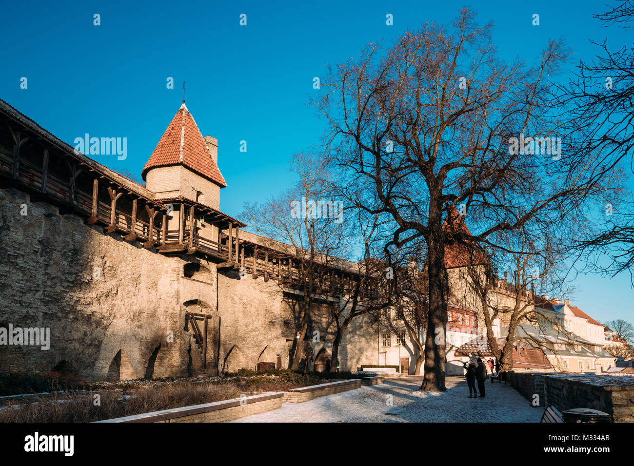 Tallinn, Estonia. View Of Danish King Garden And Stable Tower In Sunny Winter Day. It Is Green Area At Toompea In Tallinn Old Town. Stock Photo