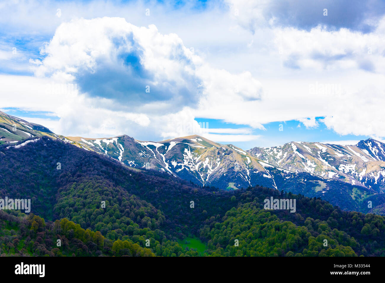 Serene lush green forest landscape with blue skies and puffy clouds ...