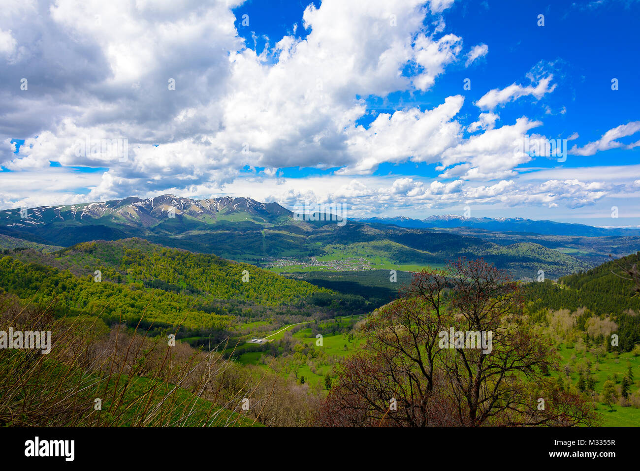 Serene lush green forest landscape with blue skies and puffy clouds ...