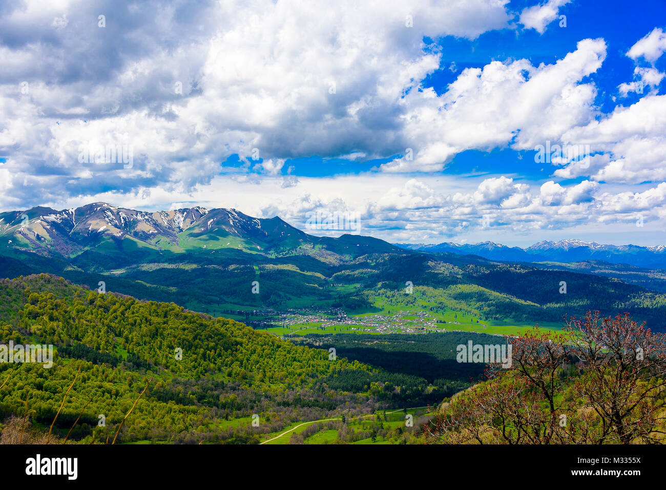 Serene lush green forest landscape with blue skies and puffy clouds ...