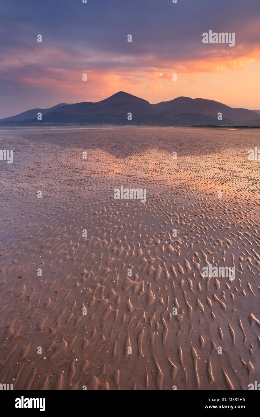 The Mourne Mountains in Northern Ireland at sunset, photographed from Murlough Beach. Stock Photo