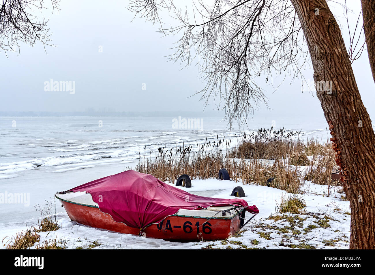 Motorboat covered with fabric cover on the bank of Narew river in ...