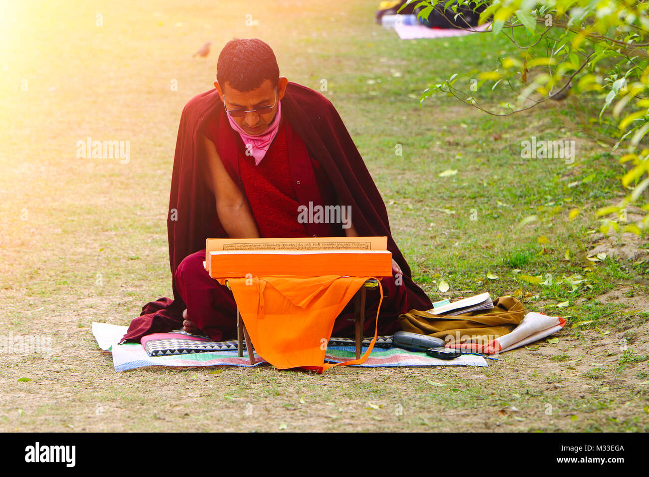 Buddhist Monk reading Holy book, Sarnath, Varanasi, Uttar Pradesh, India Stock Photo
