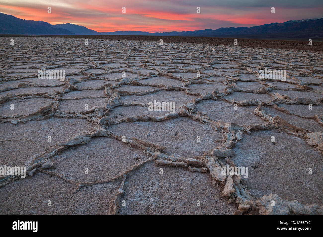 Polygon patterns, Badwater Basin, Death Valley National Park, California Stock Photo
