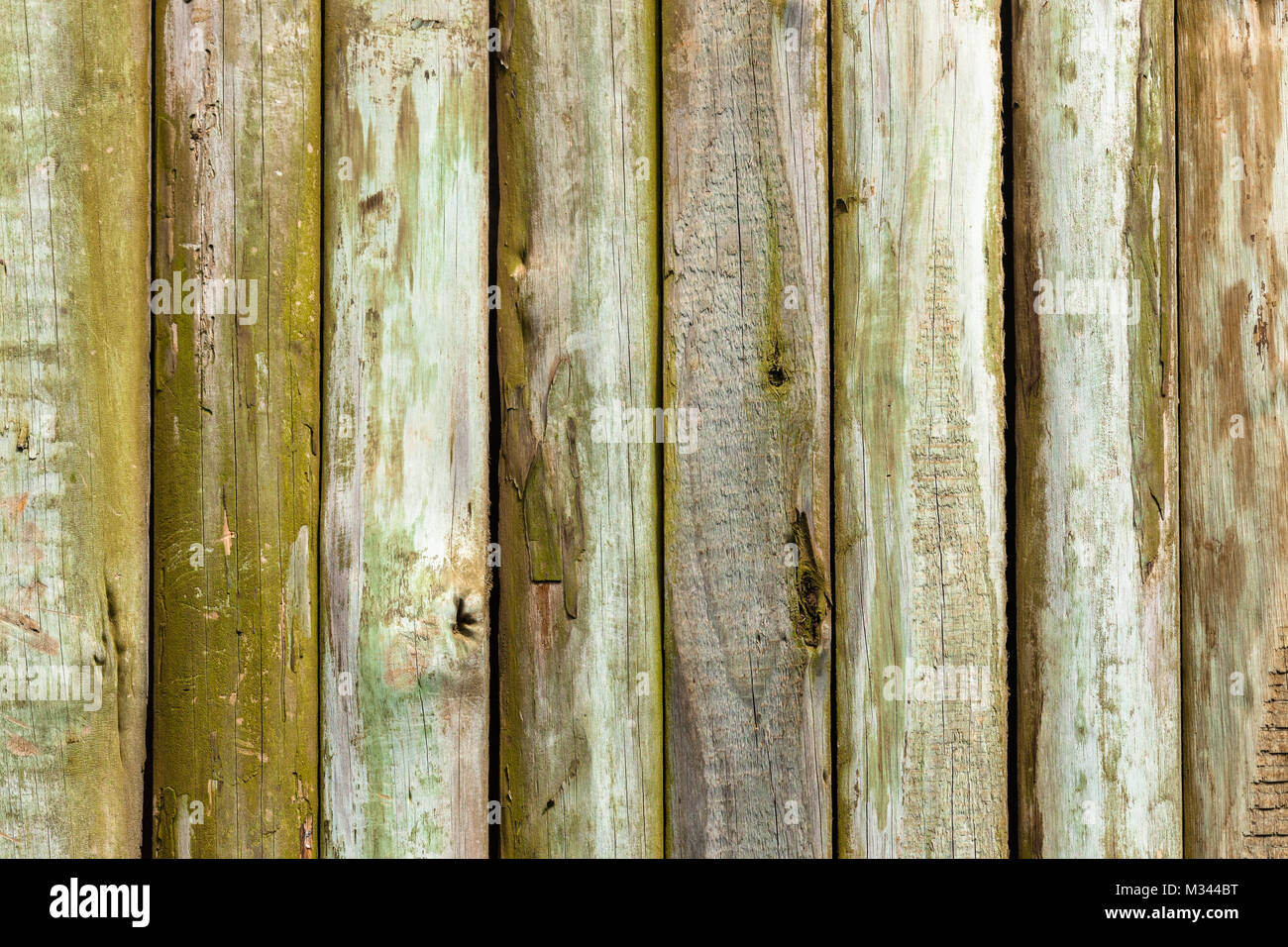 Wood slat fence slats closeup section with fungus green weather worn