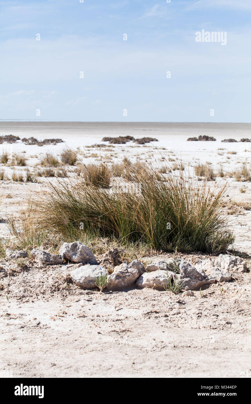 Salt pans, Etosha National Park, Namibia Stock Photo