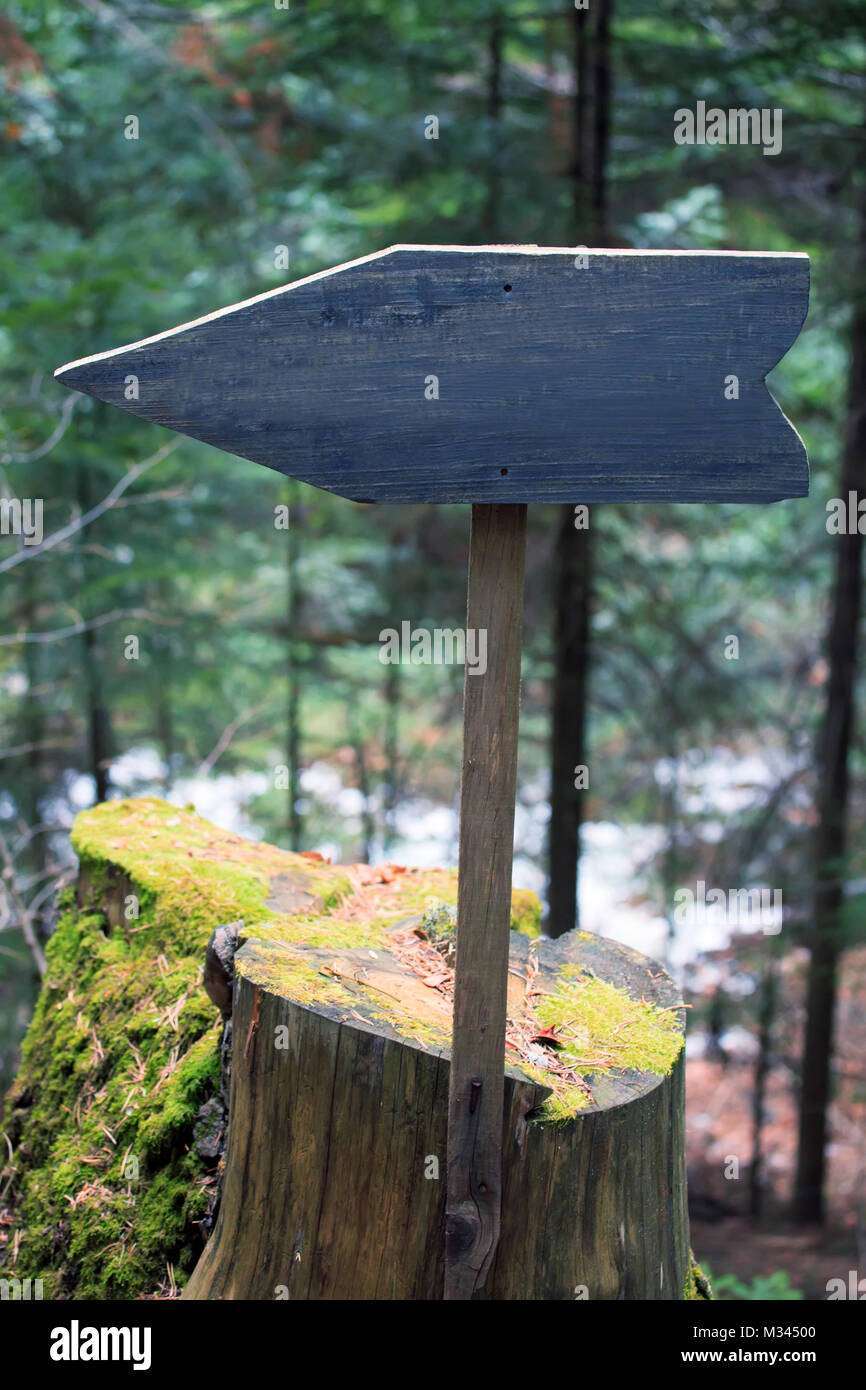 wooden empty blank forest sign with spase for sample text Stock Photo ...