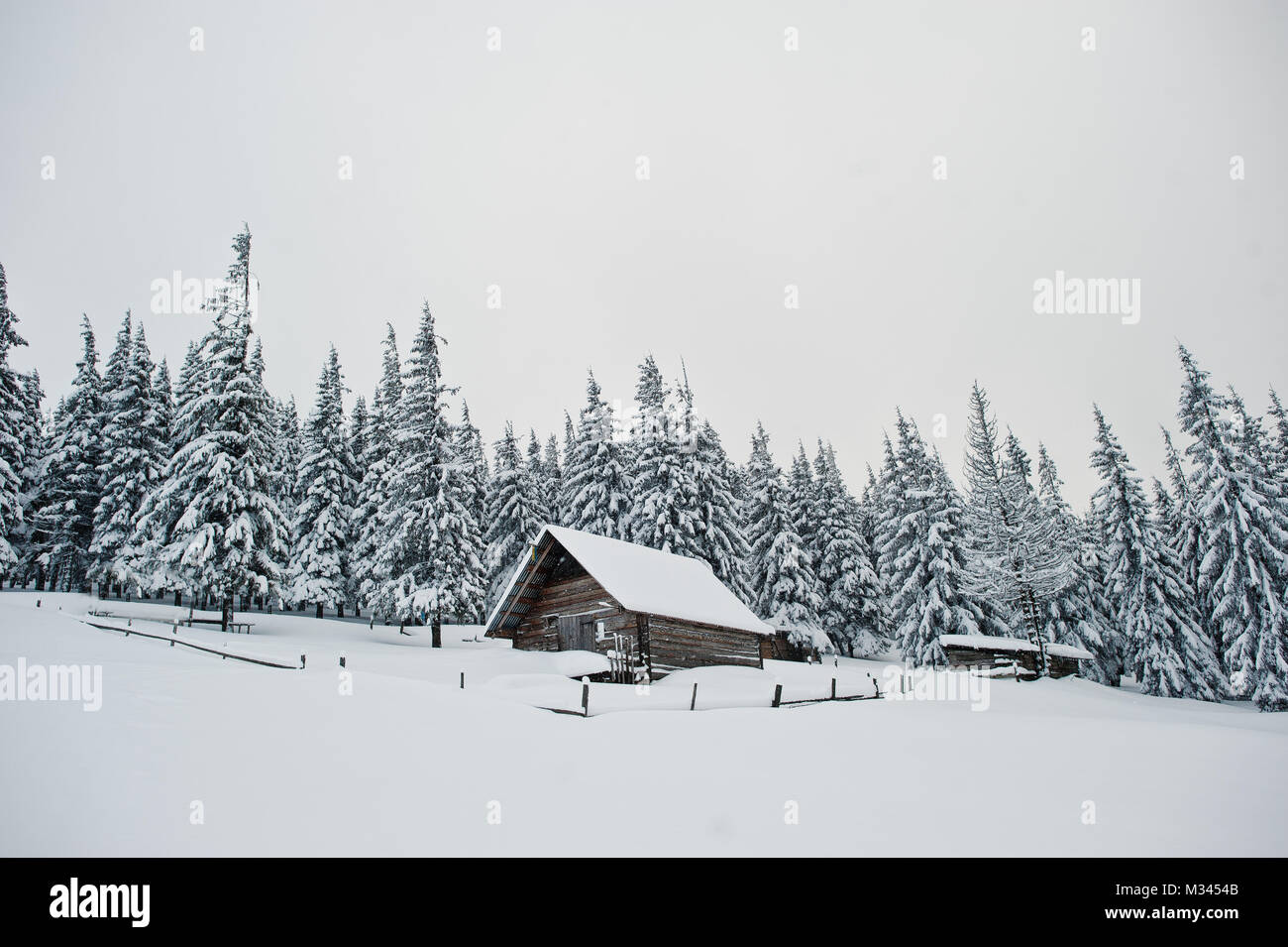 Wooden house at pine trees covered by snow on mountain Chomiak ...